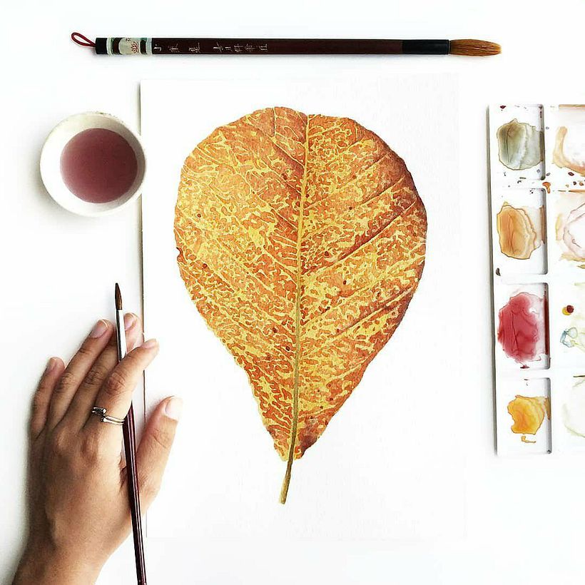 Aquarelas para TexPrima - Traditionelle Illustration