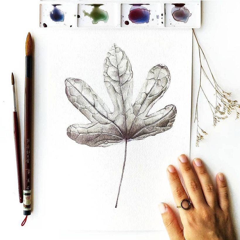 Aquarelas para TexPrima - Traditionelle Illustration