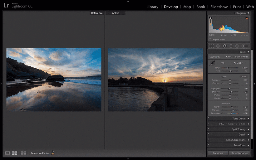 Adobe Camera Raw interface