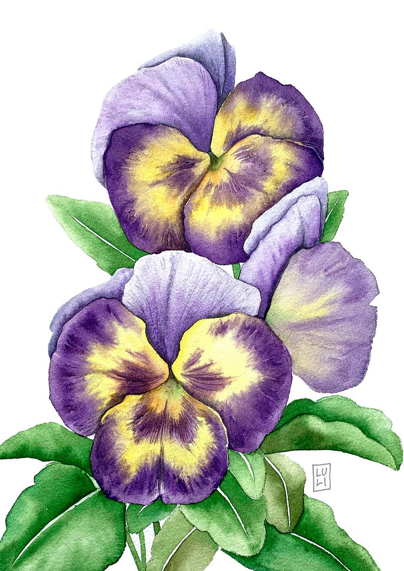 Aquarelas Florais 2