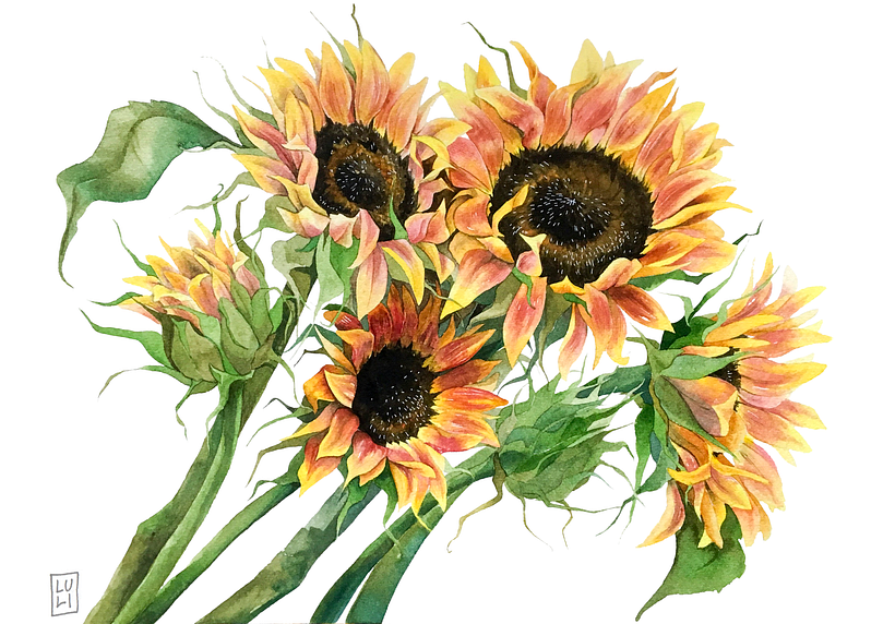Aquarelas Florais 4