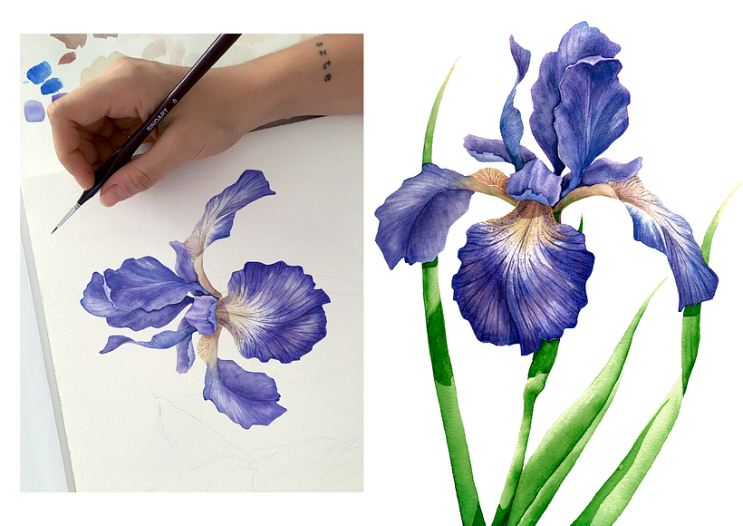 Aquarelas Florais 6