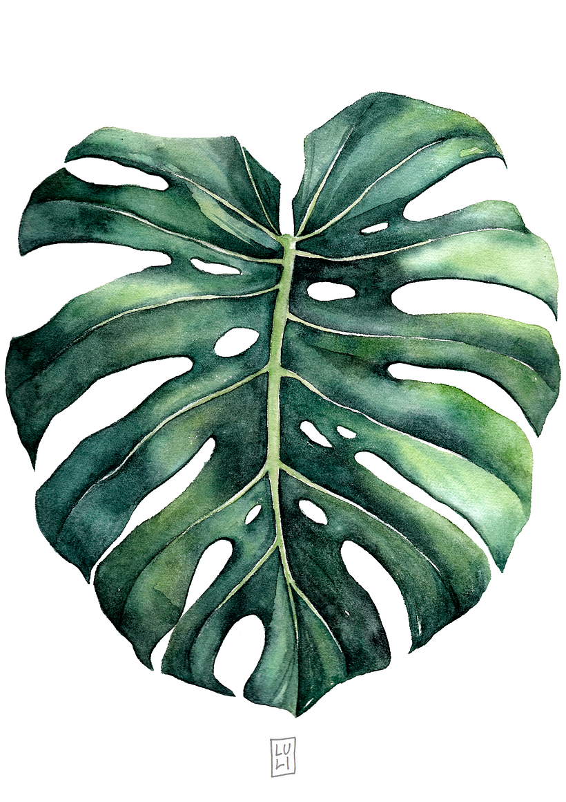 Aquarelas Botânicas 2