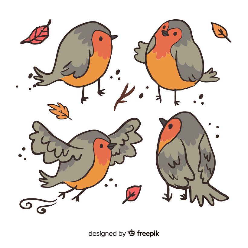 Autumn & Winter vector illustration resources for Freepik 7