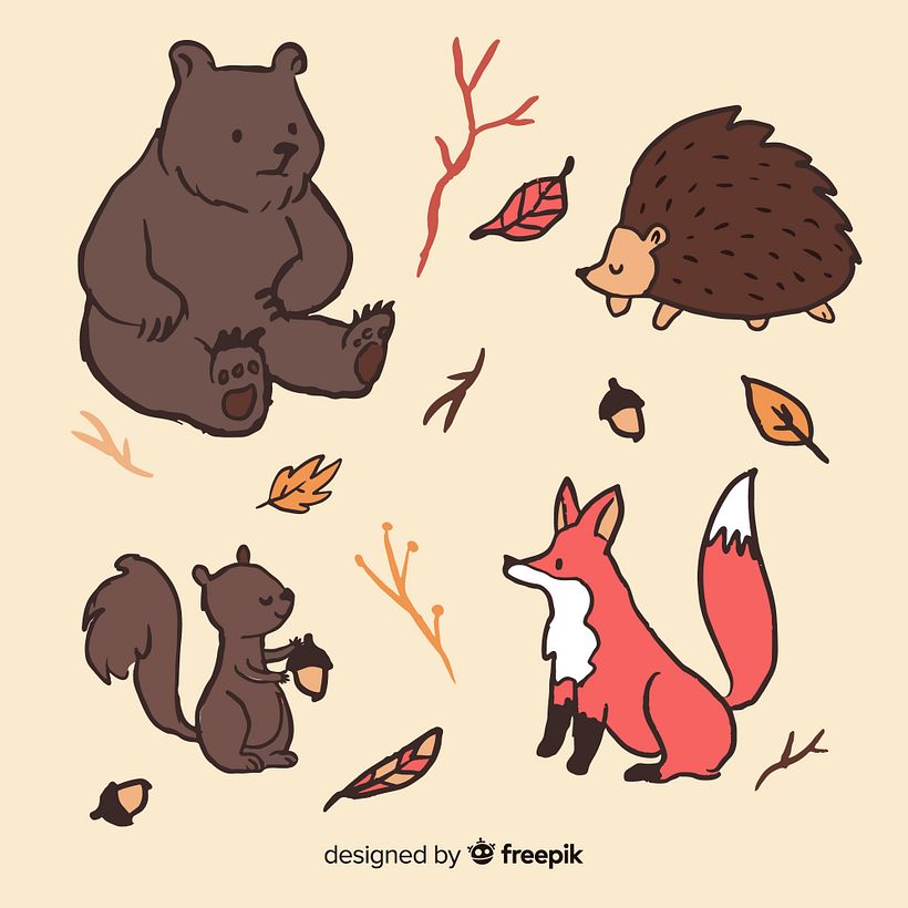 Autumn & Winter vector illustration resources for Freepik 8