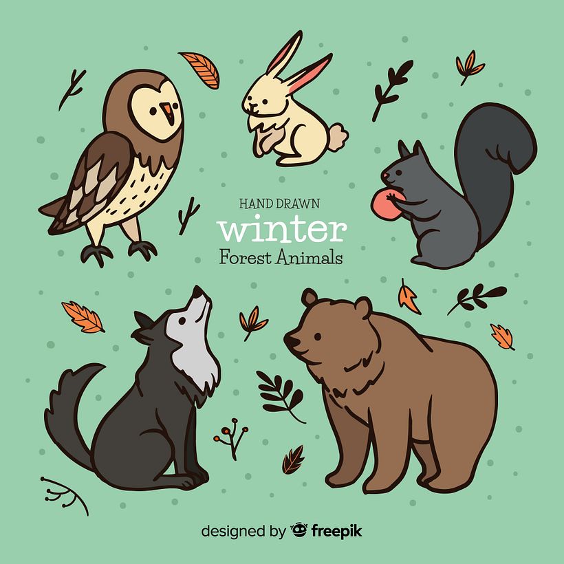 Autumn & Winter vector illustration resources for Freepik 10