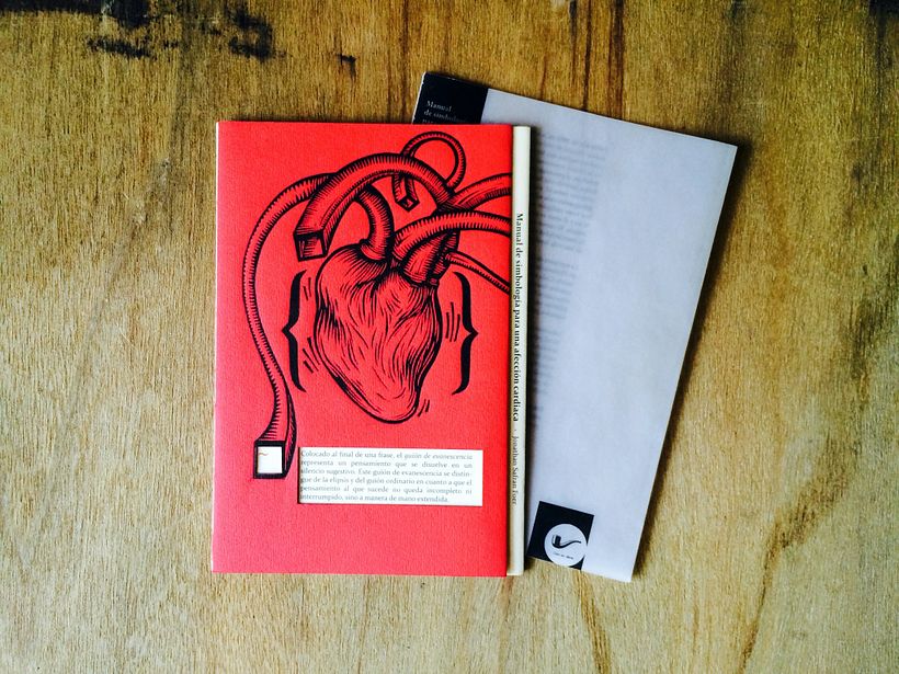 Safran Foer, J. (2017) 'Manual de simbología para una afección cardíaca'