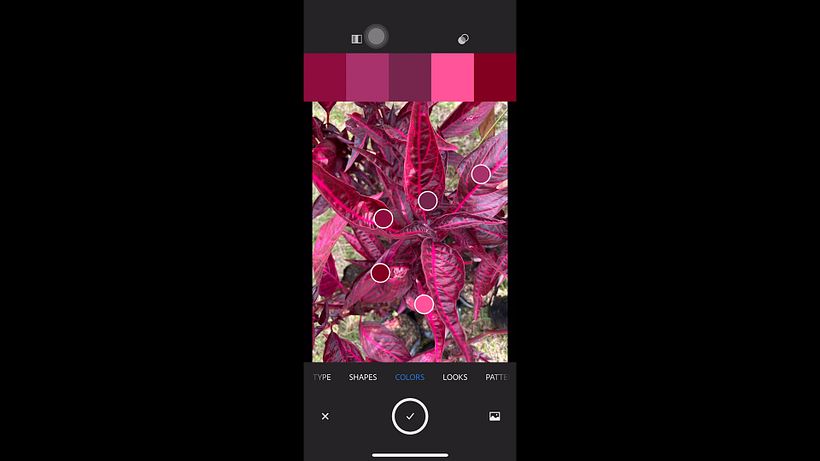 Use os círculos para selecionar as cores de sua paleta
