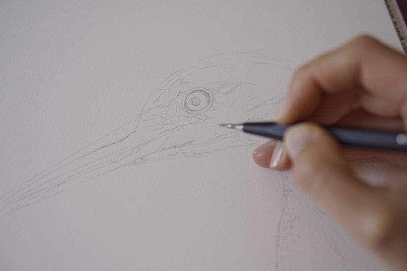 Estudios en Acuarela de una Garza Azul - Watercolor Studies of a Blue Egret 9