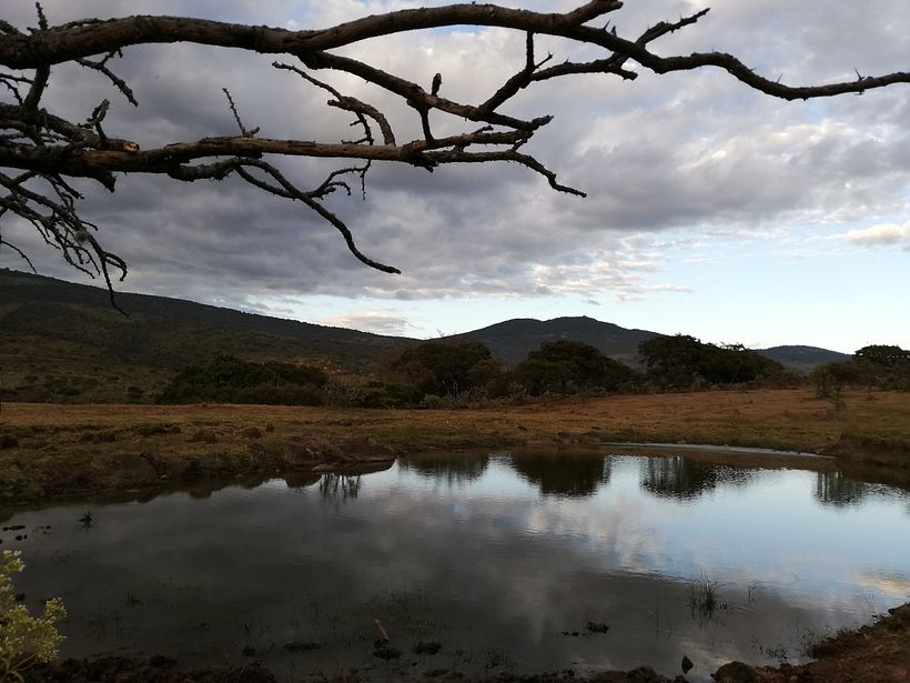Reto fotográfico: 19 días de fotografía 1
