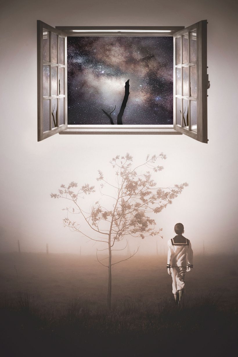 DREAMS 3