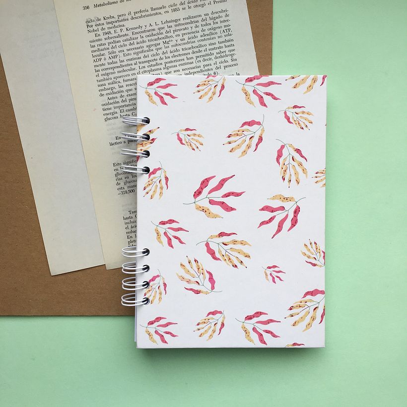 Mi Proyecto del curso: Fotografía profesional para Instagram 2