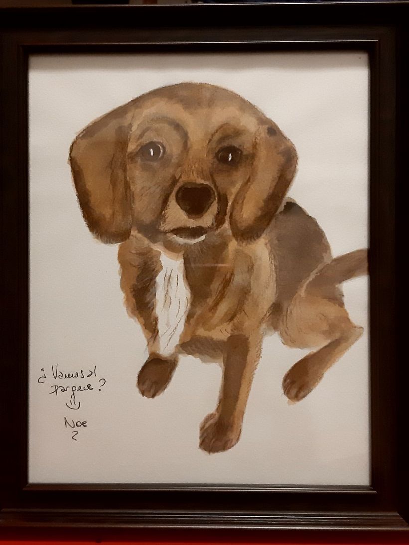 Proyecto: Mascota "Puka" 0