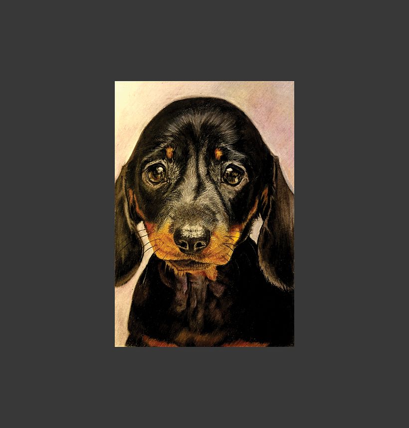 She is Martha...a puppy with big melancholy eyes!