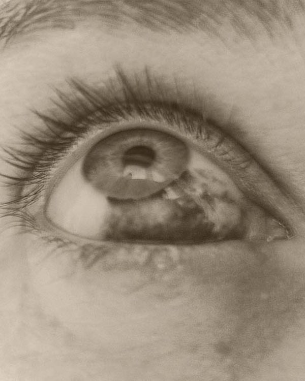 De la serie Eggs and Rarities, Paul Kookier (2018)