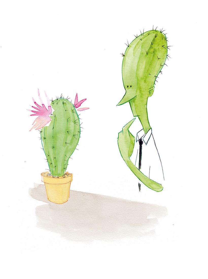 What happened until now? 0