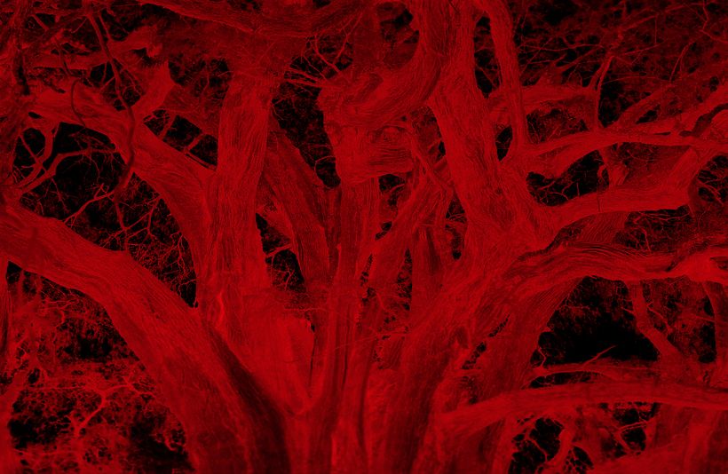 Gerardo Montiel Klint