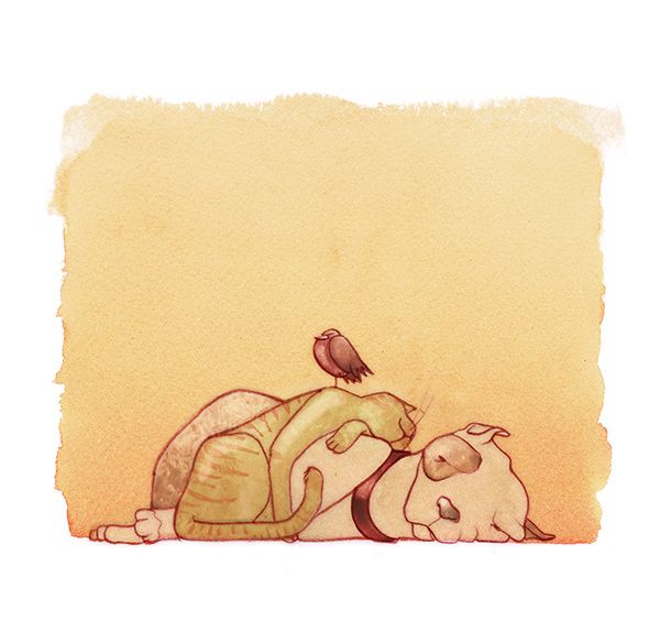 El Viento en los Tejados 8