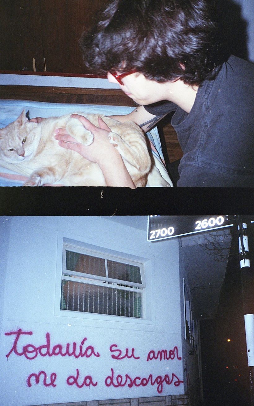 Gordo Max, todavía su amor me da descargas. 