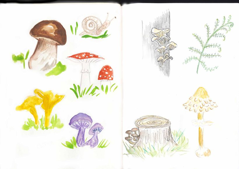 My project in Illustration Techniques to Unlock your Creativity course 4