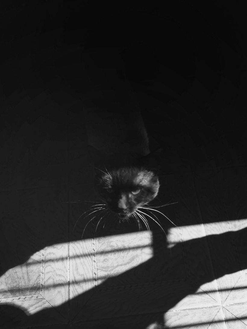 Reto fotográfico: 19 días de fotografía 1