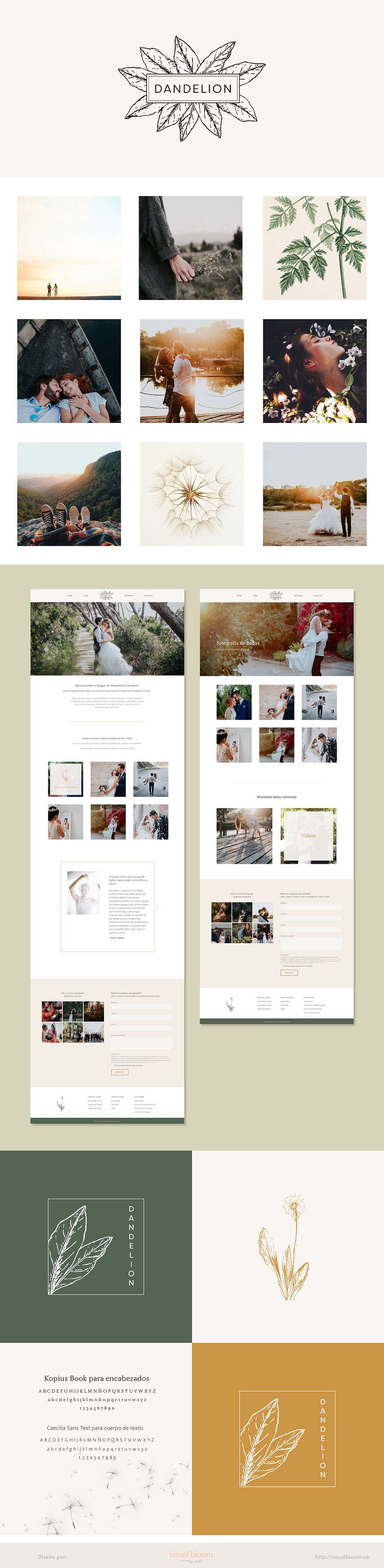 Dandelion Estudio - Branding e Identidad