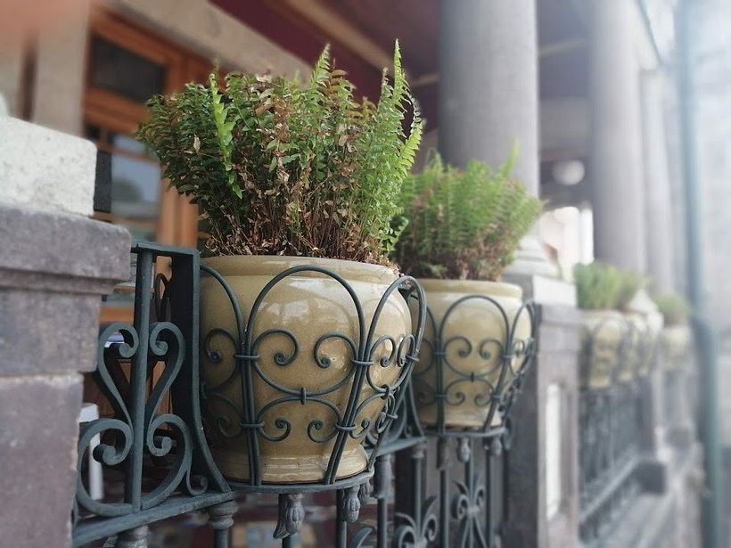 Macetas. Casa Rivas Mercado, CDMX.