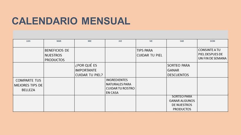 Mi Proyecto del curso: Introducción al community management 6