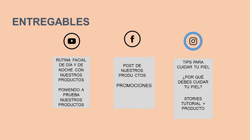 Mi Proyecto del curso: Introducción al community management 7