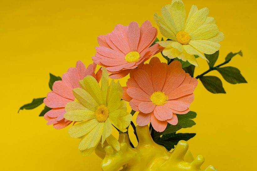 Margaritas de colores.