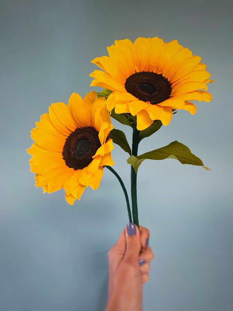  Pero cuando no hay sol, se miran entre ellos para regalarse energía 