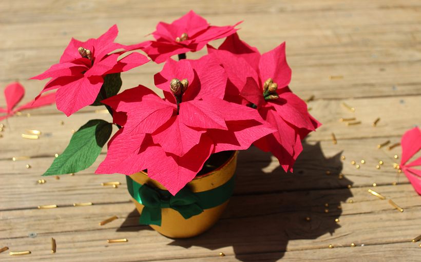 Navidad feliz navidad 1