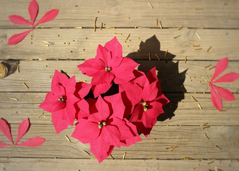 Navidad feliz navidad 2