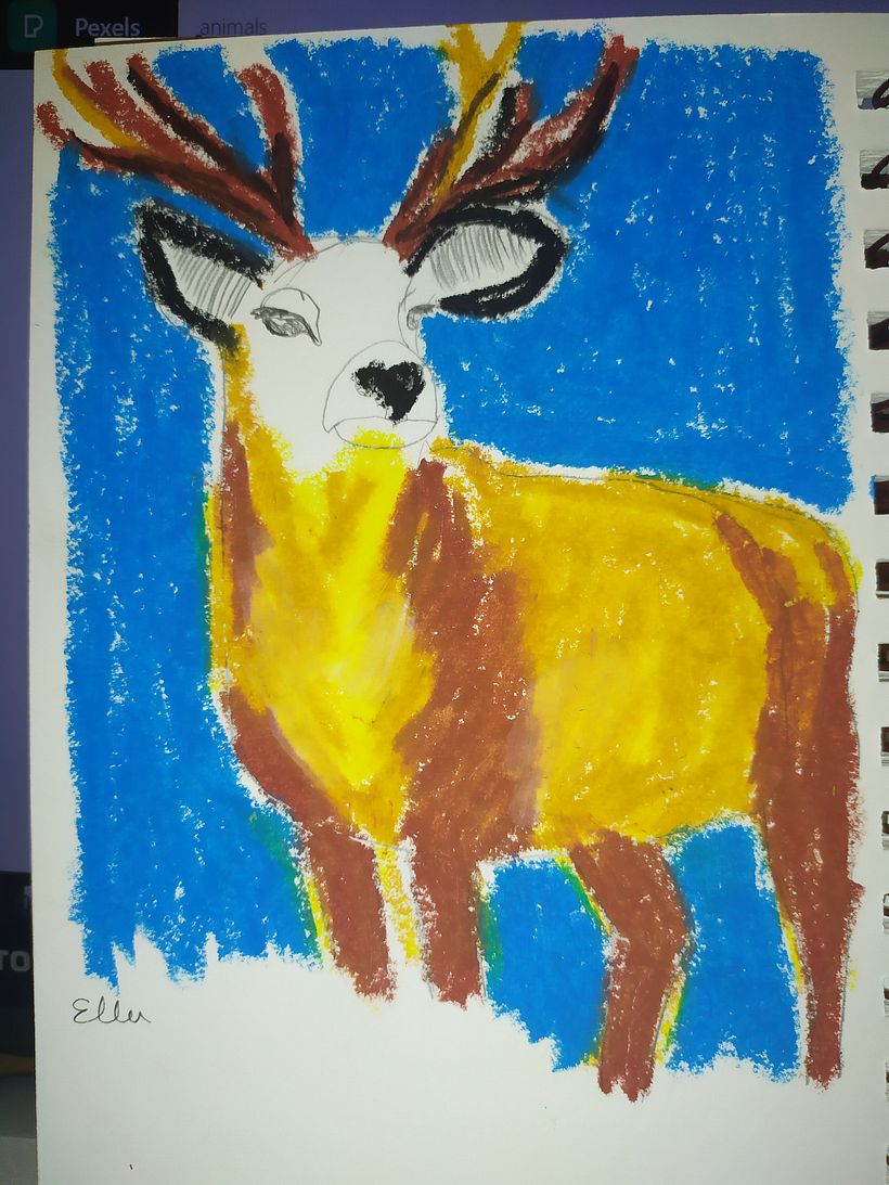 I enjoyed this course very much, it open my mind. 1