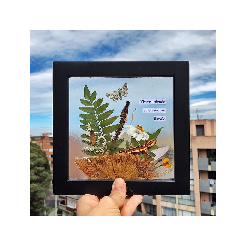 Composición botánica con plantas prensadas. 15x15 cm. Para cliente 2020