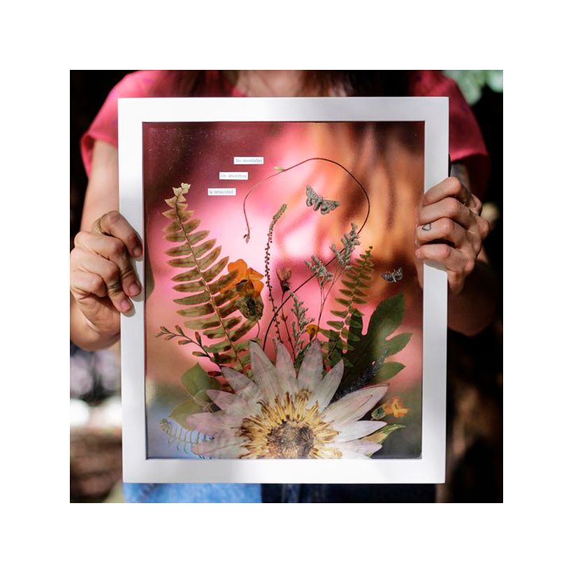 Composición botánica con plantas prensadas de 28x33 cm. Happy Green Family 2020