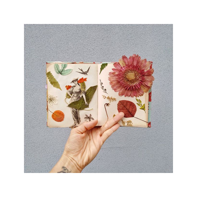 Analog collage with pressed plants and magazine clippings. Personal notebook. 