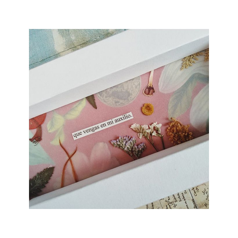 Analog collage with pressed plants and clippings. Cardboard frame. Personal collection.