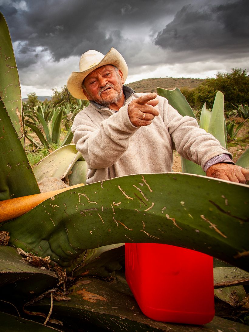 "Don Cheque" una historia de tradición. 0