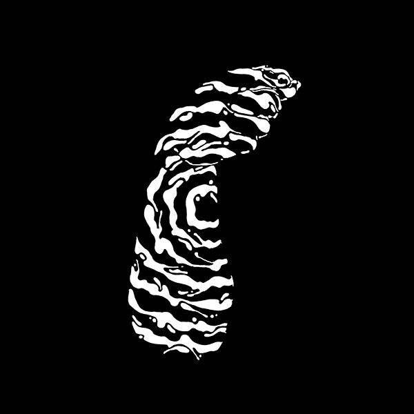 Lenguaje de Señas Mexicanas (LSM) // 36 Days Of Type // '20 63
