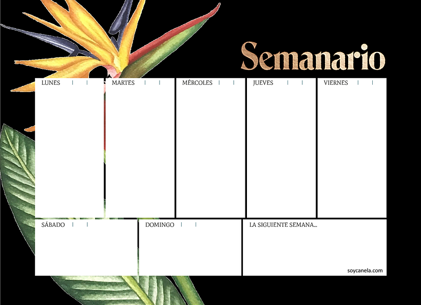Mi Proyecto del curso: Ilustración botánica con acuarela 0