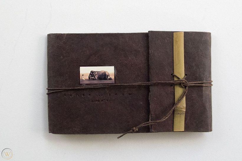 Colbert, G. (2005) 'Ashes and Snow: Book No. 1', Flying Elephants Pr