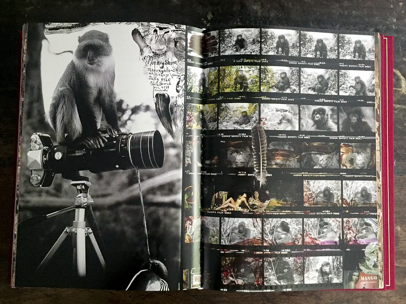Peter Beard