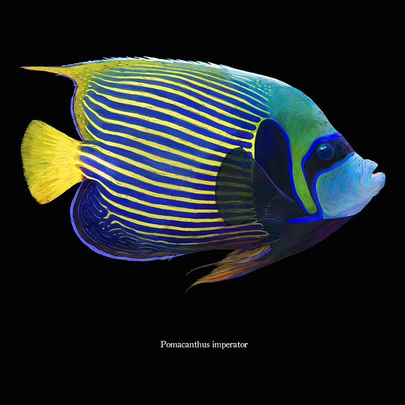 ACUA 6