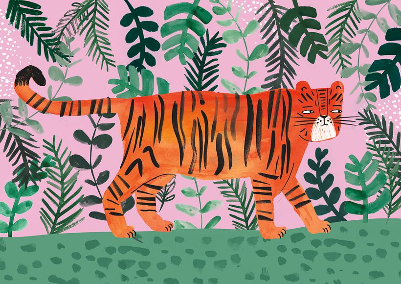 Illustrations 0