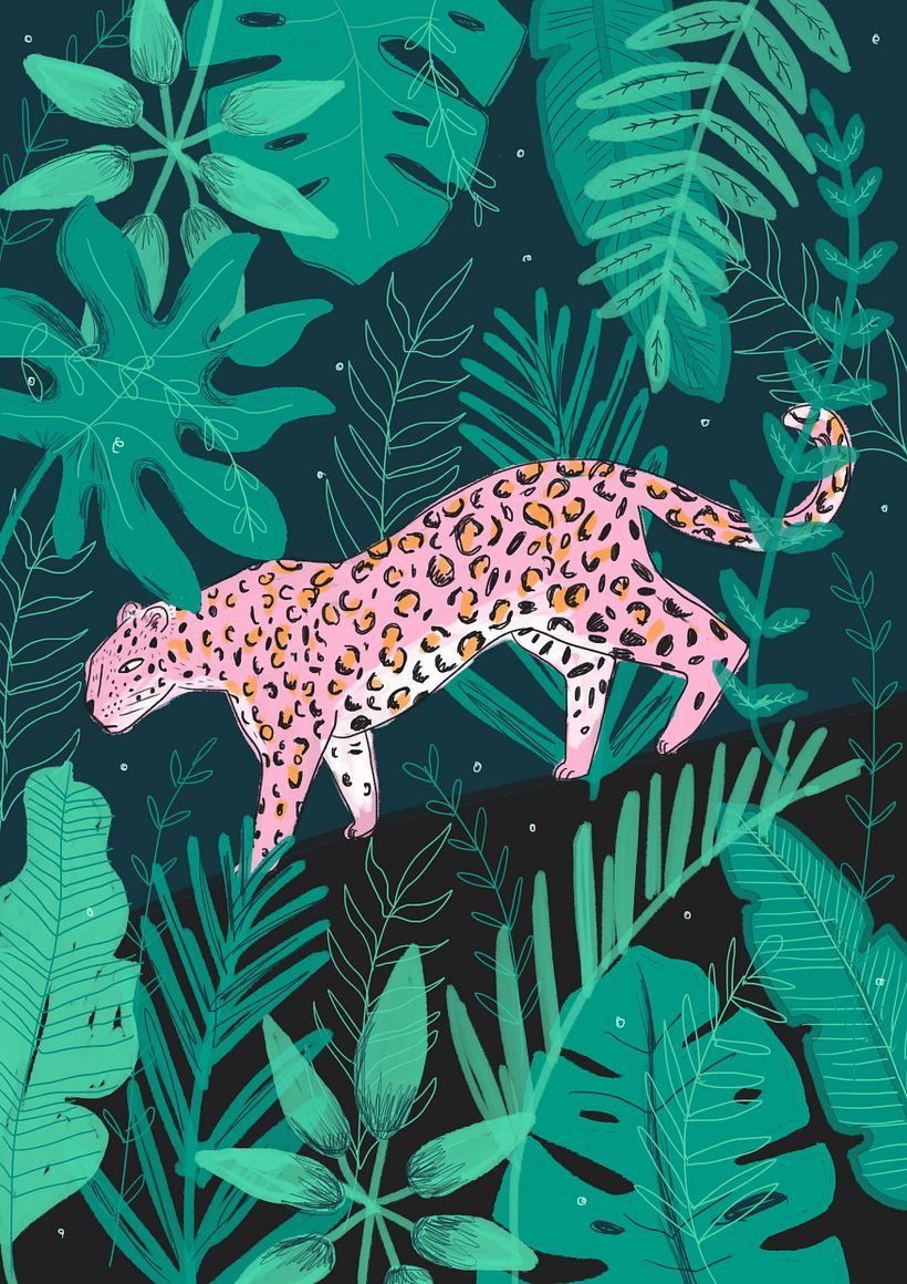 Illustrations 2