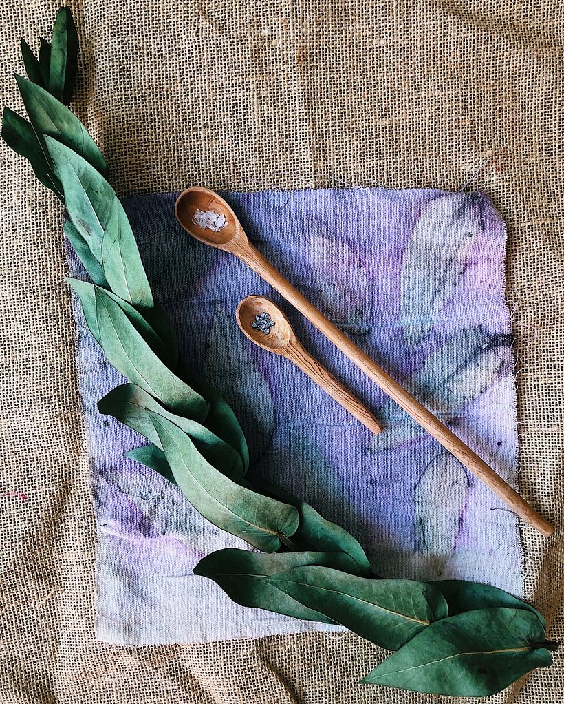 Hojas de eucalipto con manta de grana cochinilla / Eucalyptus leaves with grana cochineal blanket 