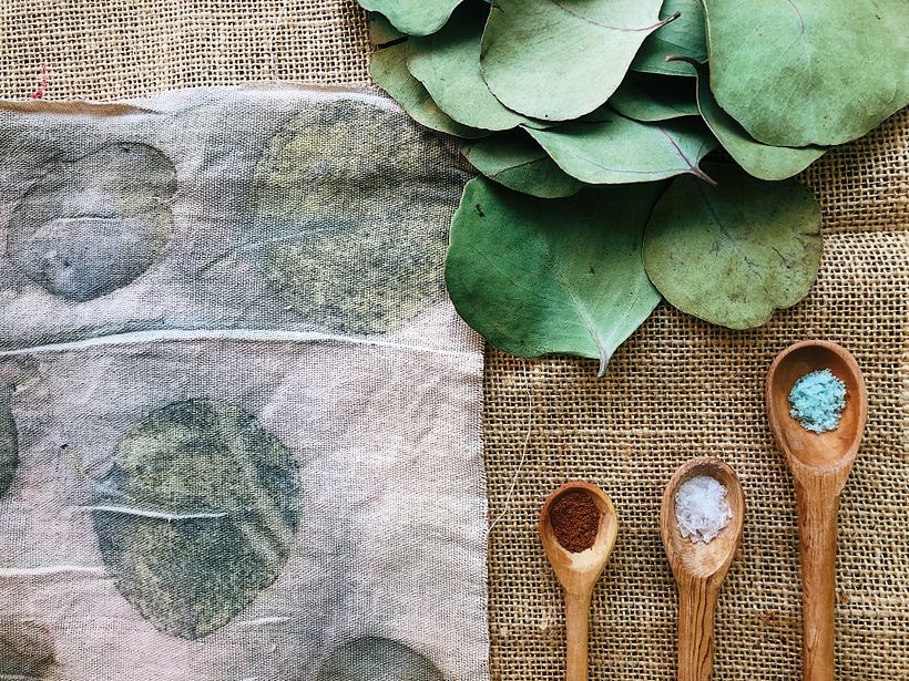 Hojas de eucalipto y manta de sulfato ferroso / Eucalyptus leaves and ferrous sulfate blanket