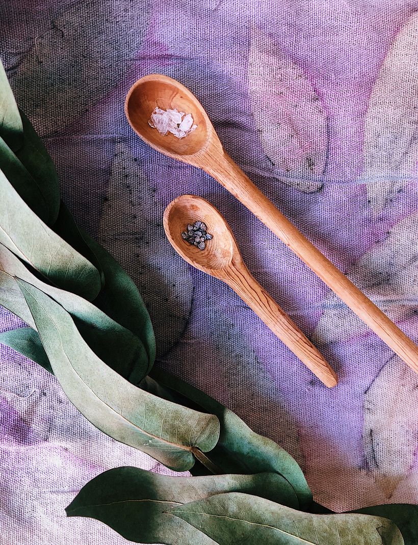 Hojas de eucalipto y grana cochinilla / Eucalyptus leaves and cochineal leaves