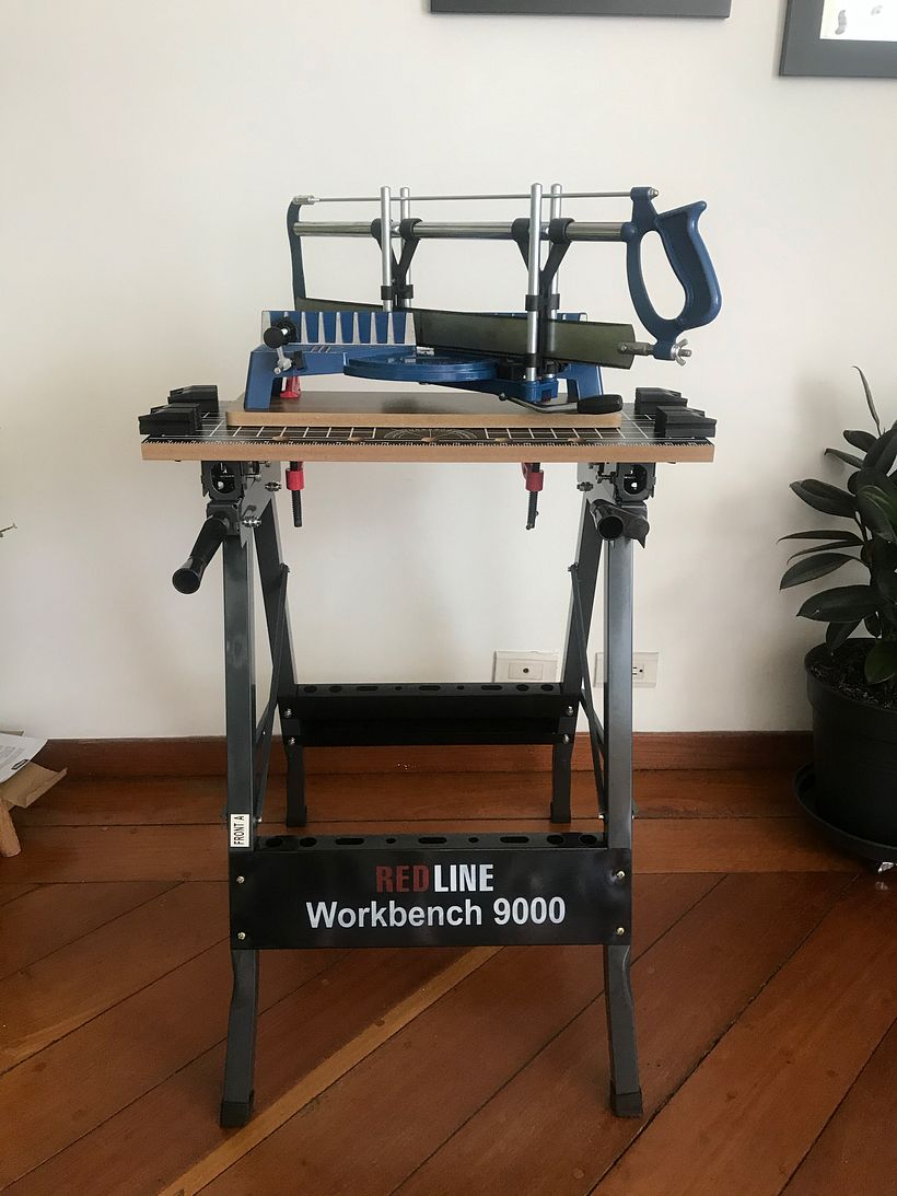 Mi Proyecto del curso: Iniciación al enmarcado 0